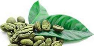 Зелёный кофе для похудения Как правильно заваривать зеленый кофе для похудения